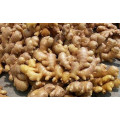 Wholesale organic fresh ginger price